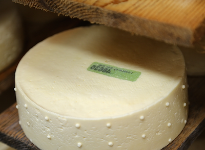 TH01_114_tomme de savoie_4