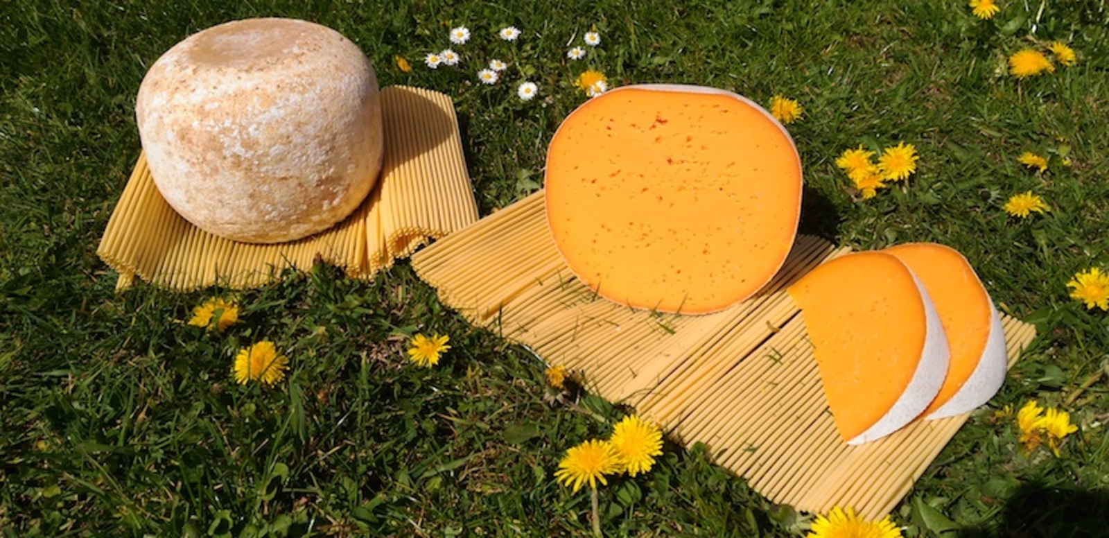 TH05_mimolette_13_isa