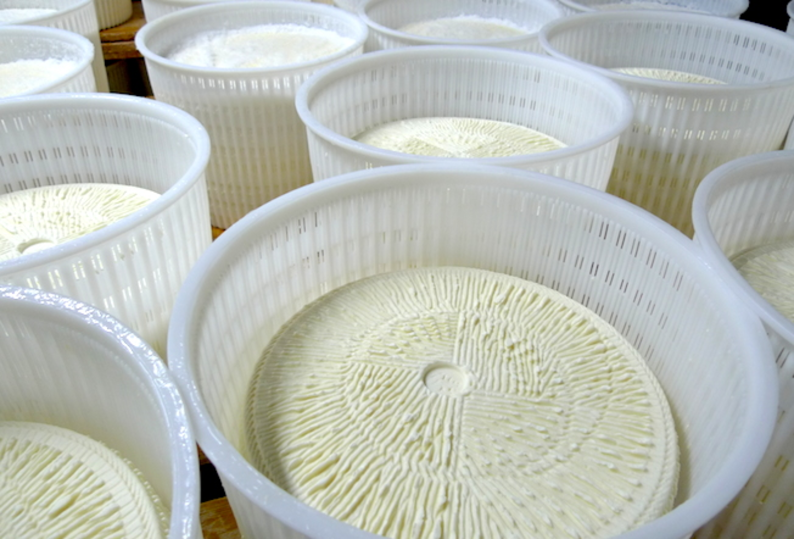 Le fromage italien Ricotta.