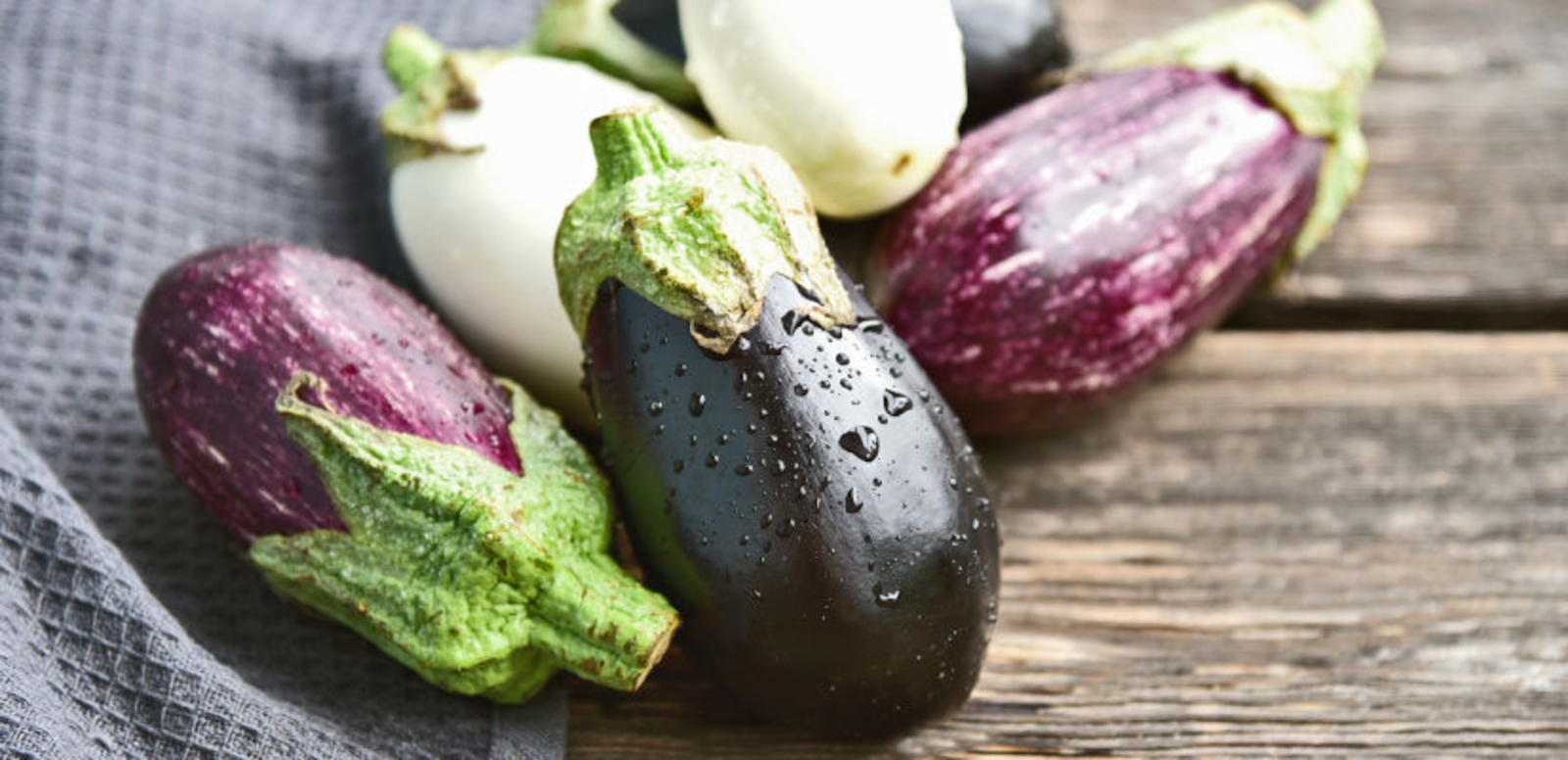 TH05_aubergines-varietes-couleurs