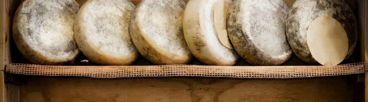 Meilleures fromageries d’Angers : notre sélection