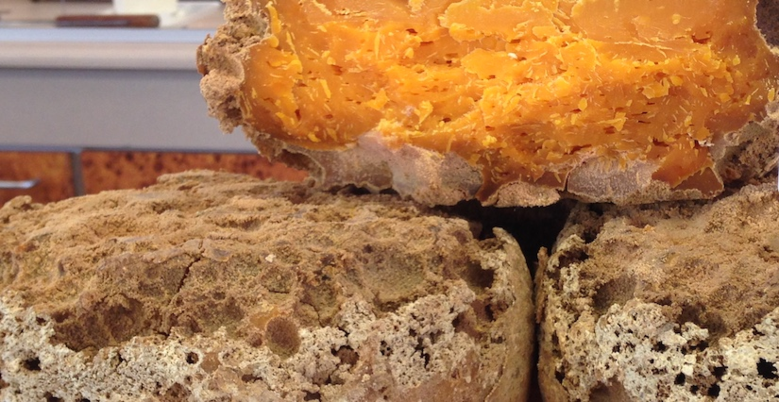 TH05_mimolette_12