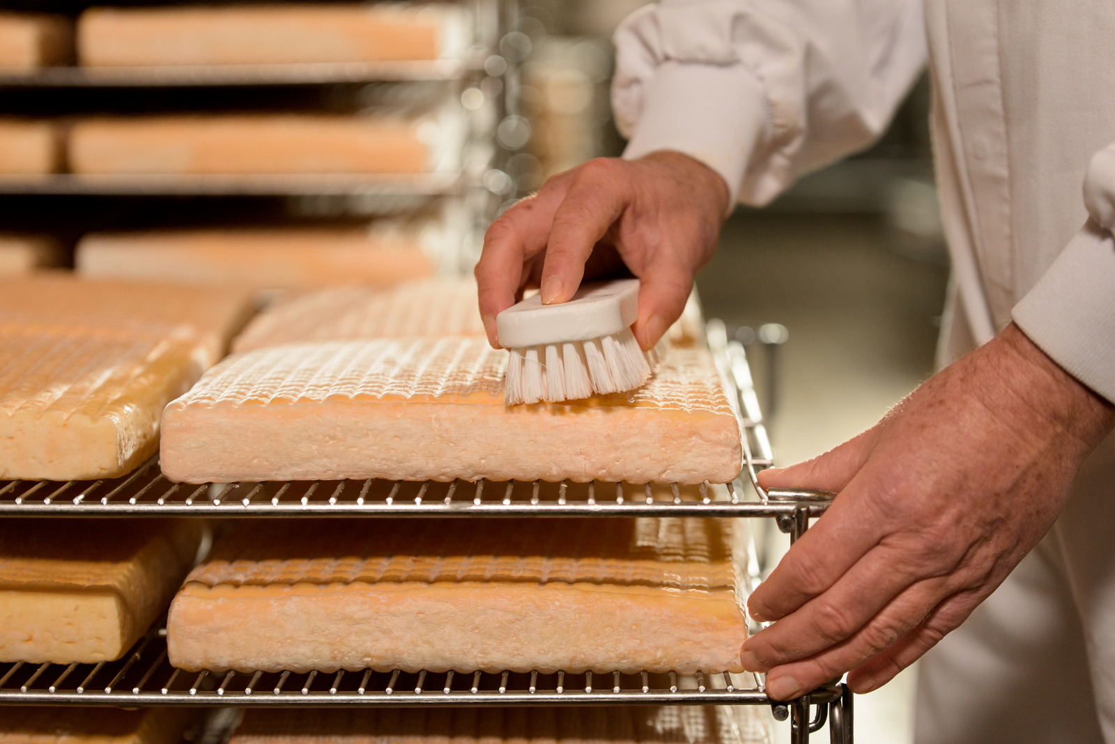 tournage Vieux Pané fromagerie Meslay - fromage brossé