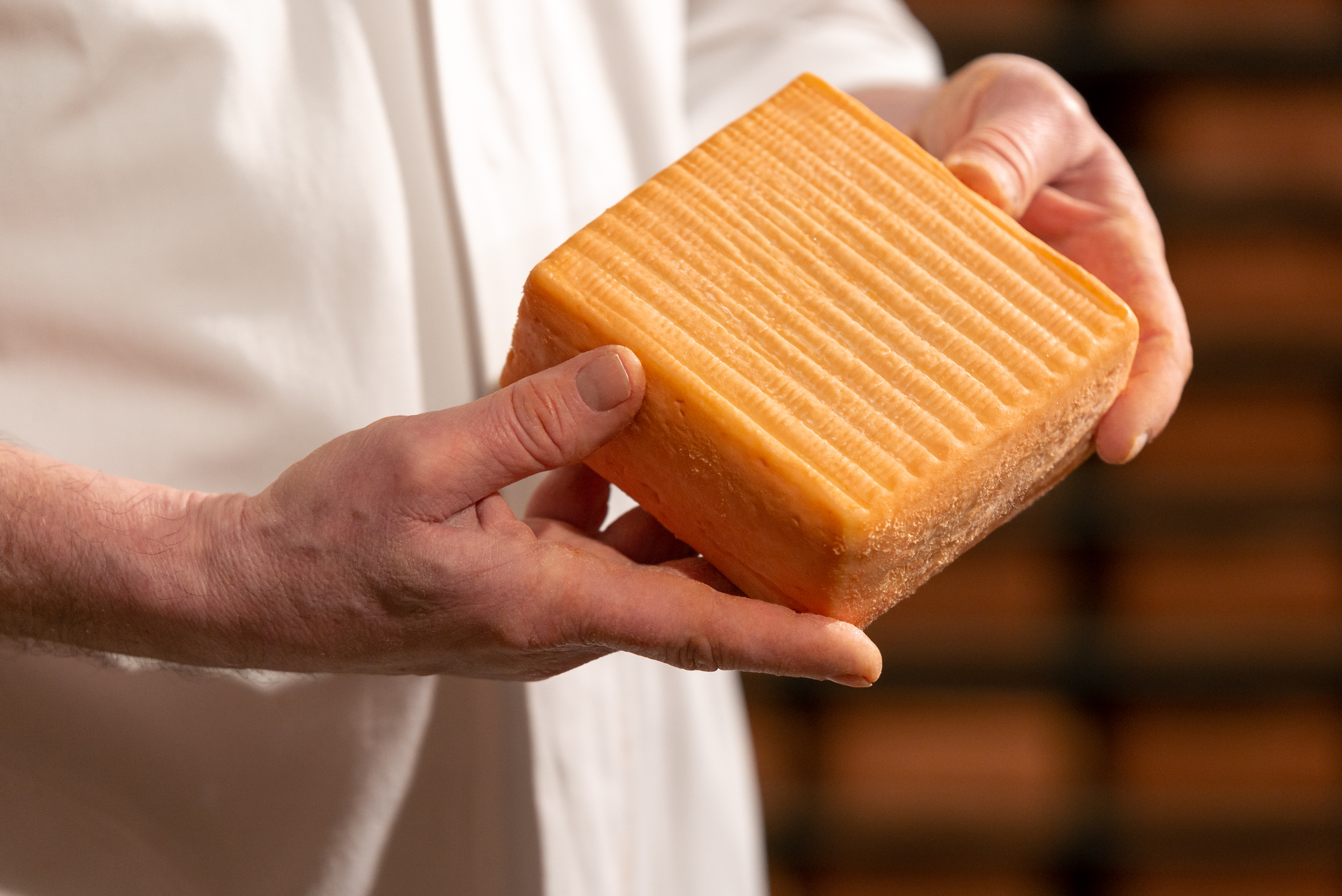 Nos fromages médaillés au Concours Général Agricole 2024