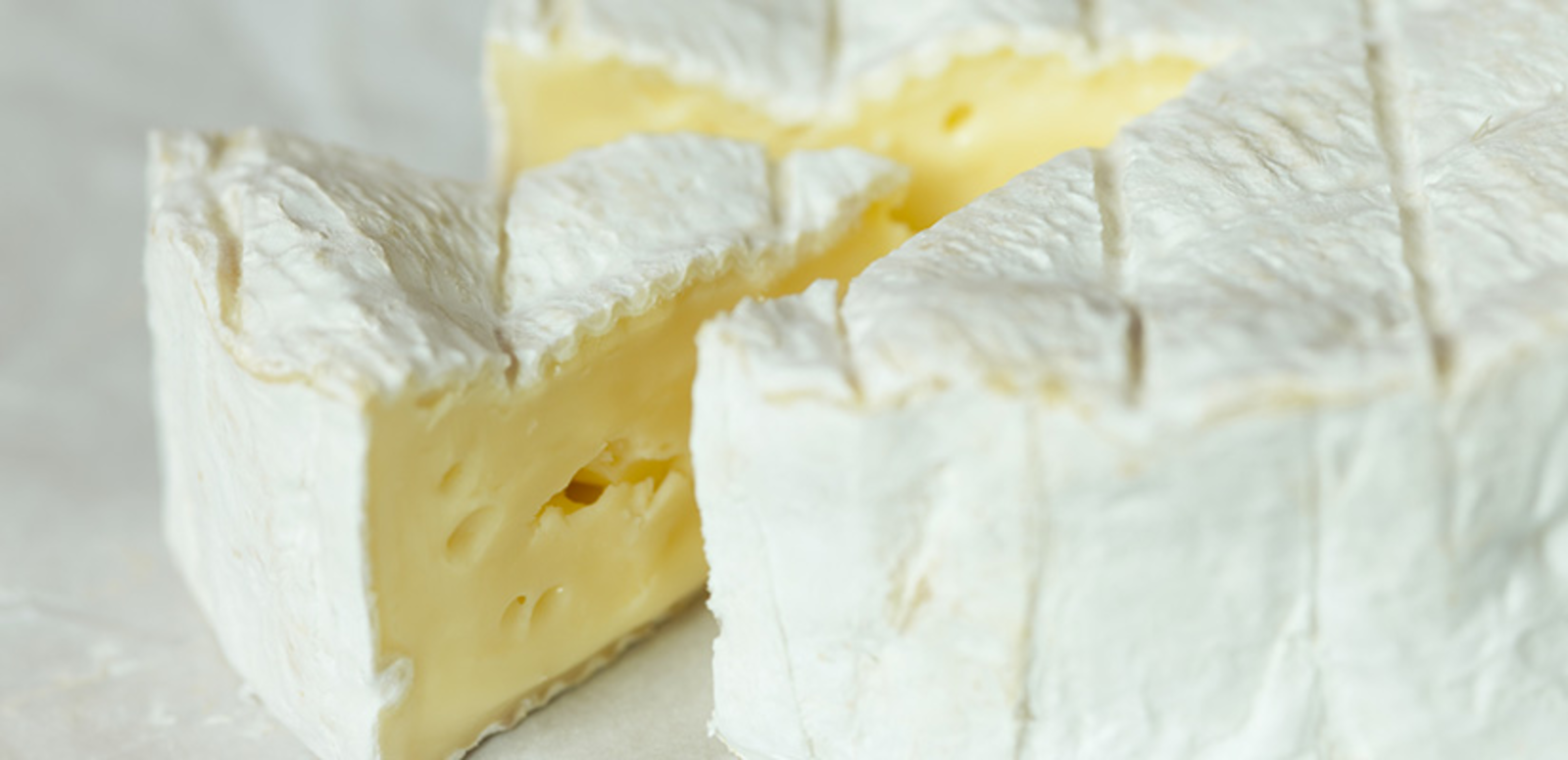 TH05_Intolérance_lactose_camembert