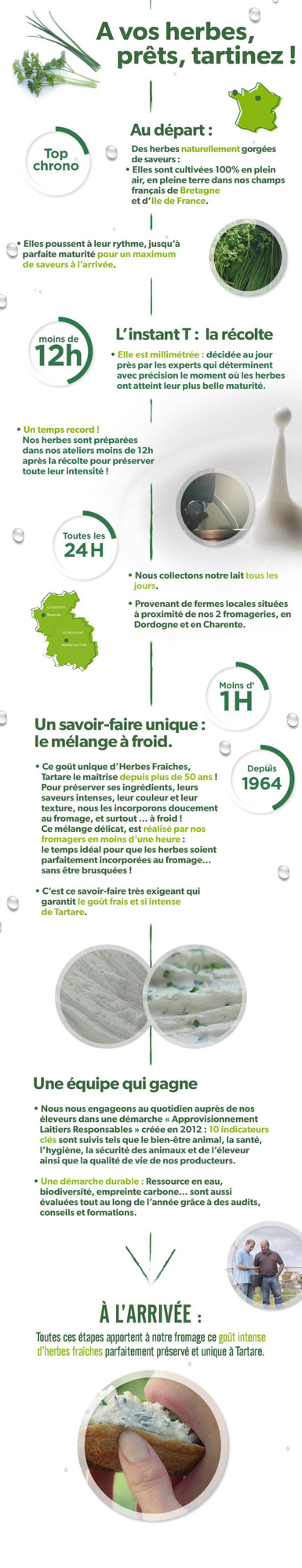 Mobile Infographie Tartare Course à la fraîcheur 2024