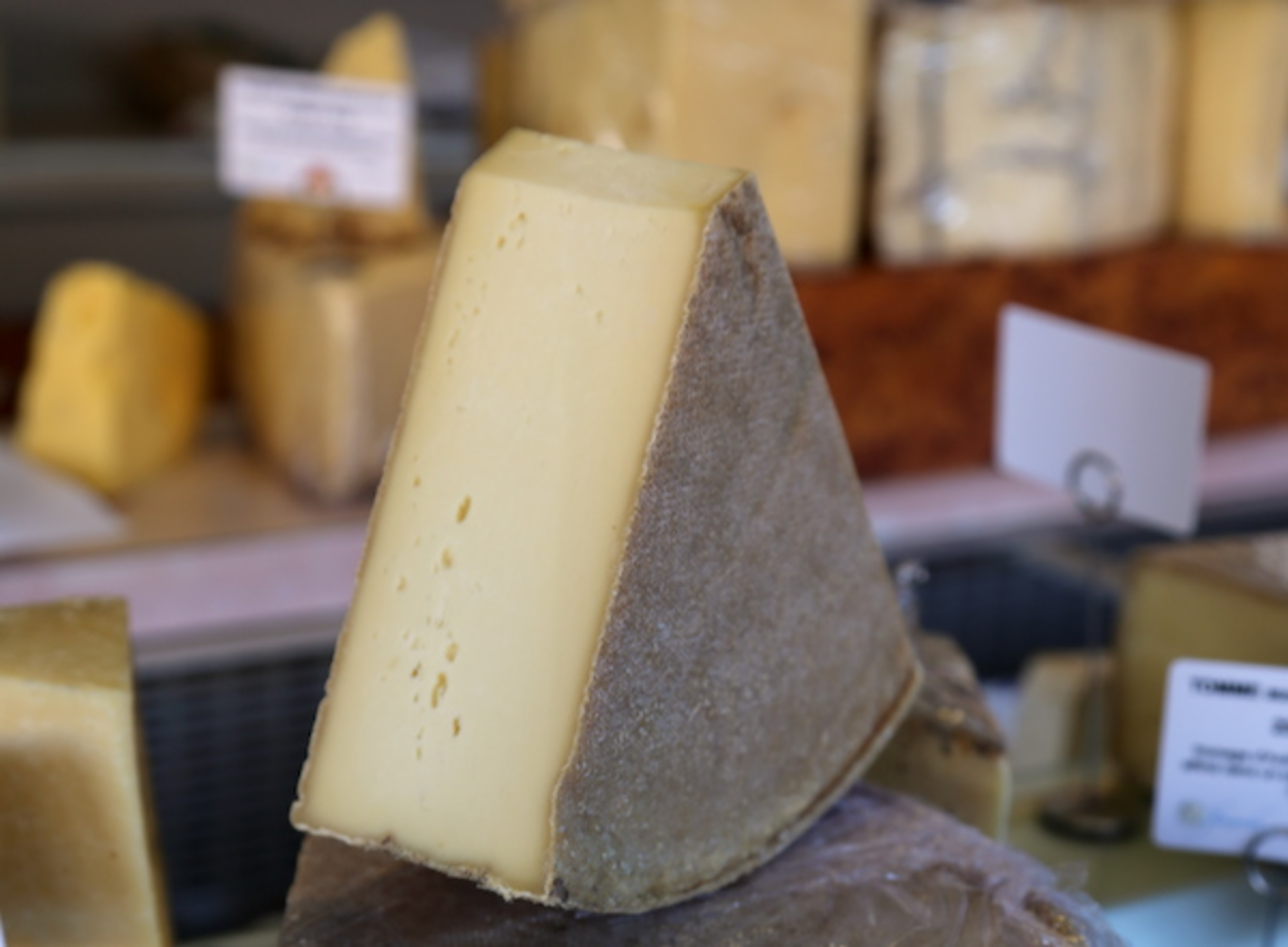 TH01_117_vacherin fribourgeois_1