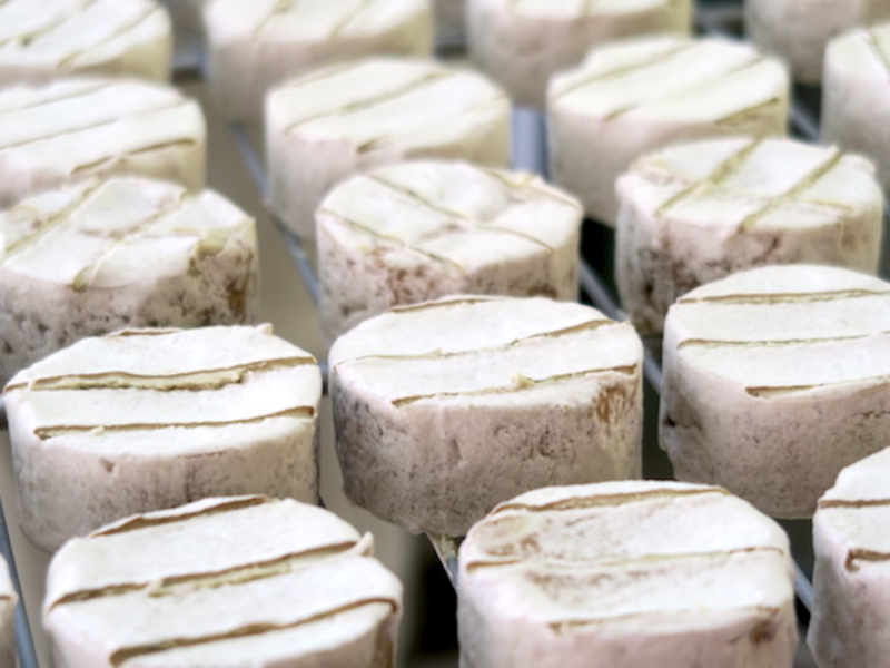Tout savoir sur le « fromage végétarien »