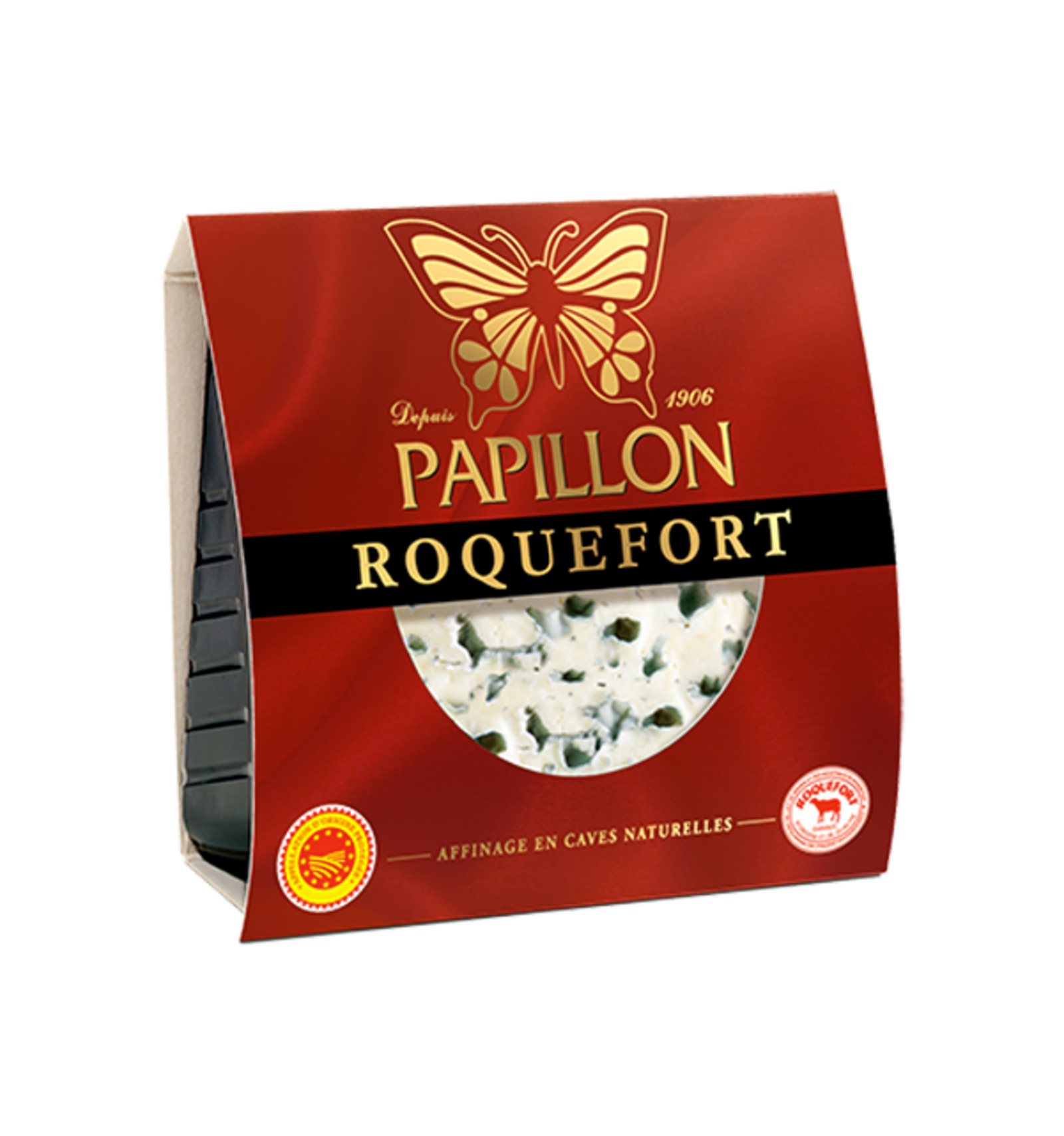 Shooting Papillon - retouches 2024