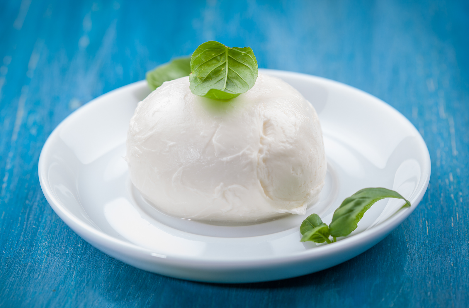 Mozzarella di bufala