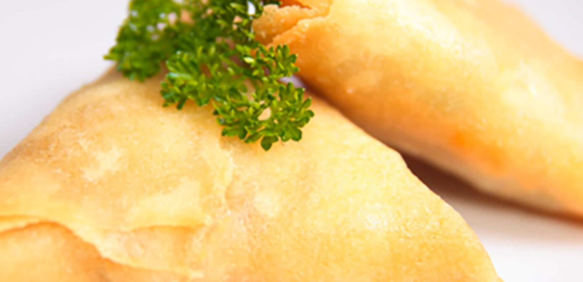 Brick de saumon au chèvre
