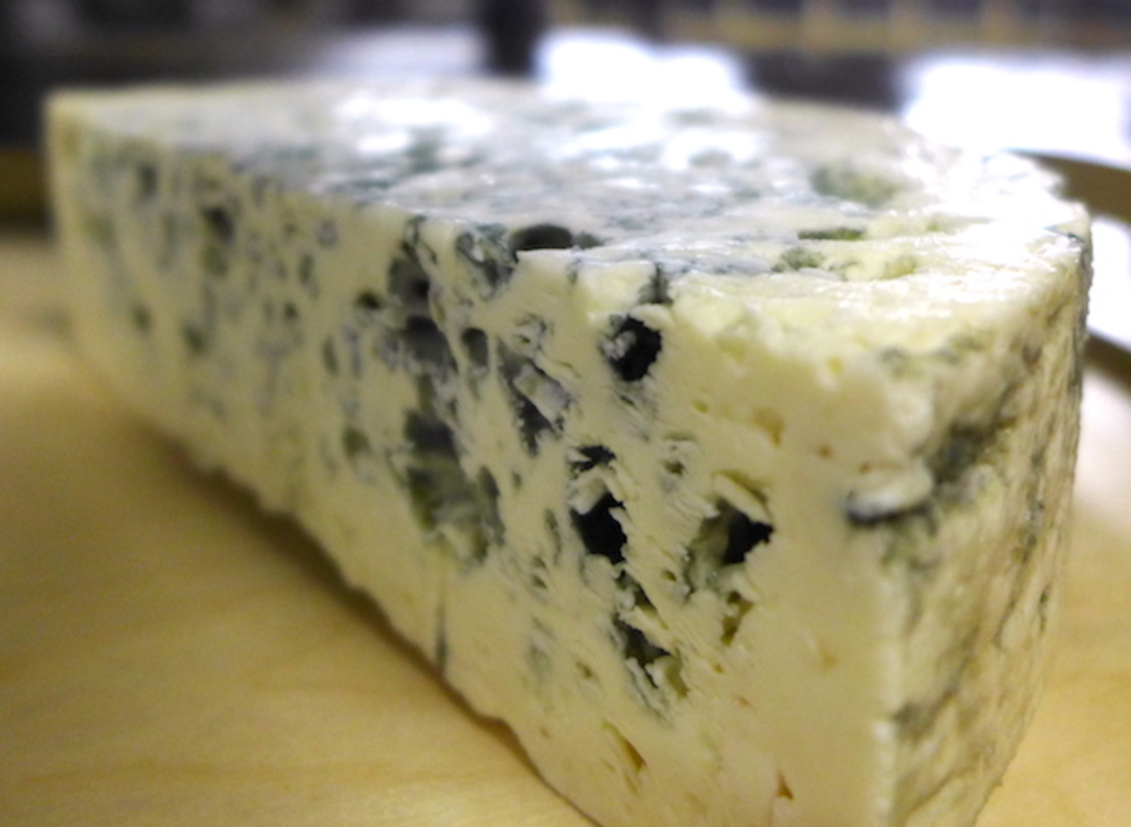 TH01_04_bleu des causses_1