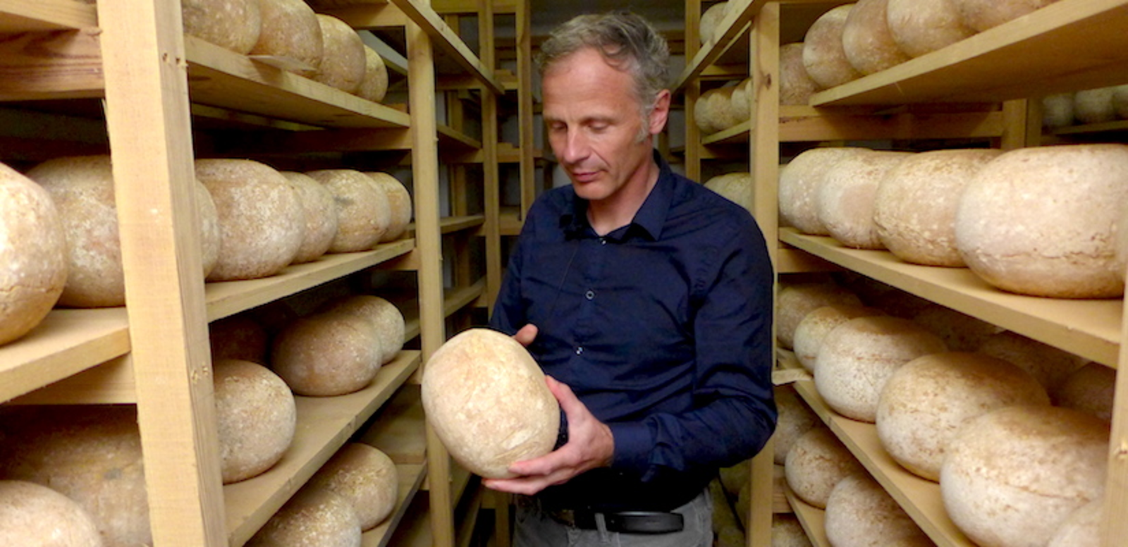 TH05_mimolette_8_vert