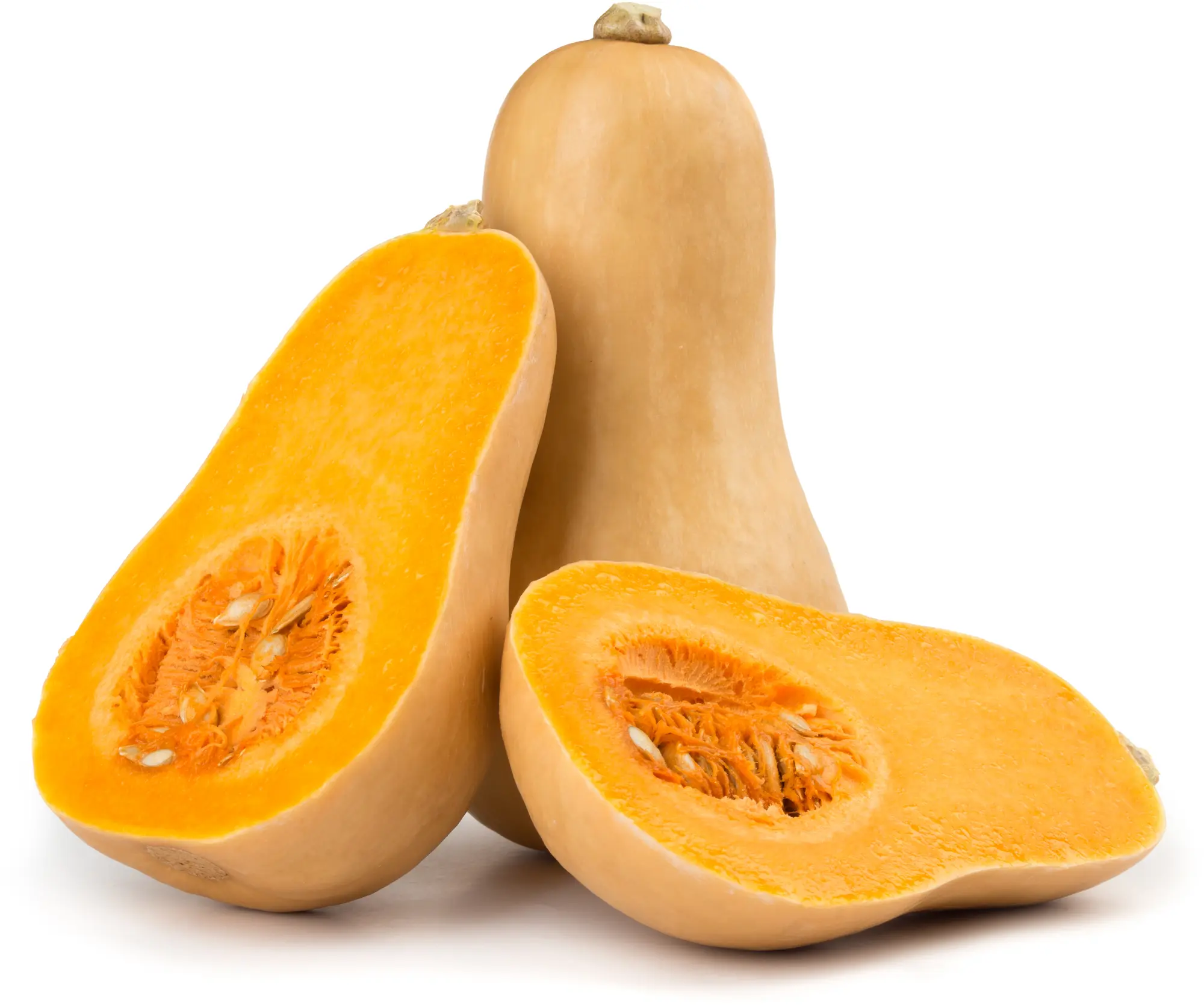 Butternut