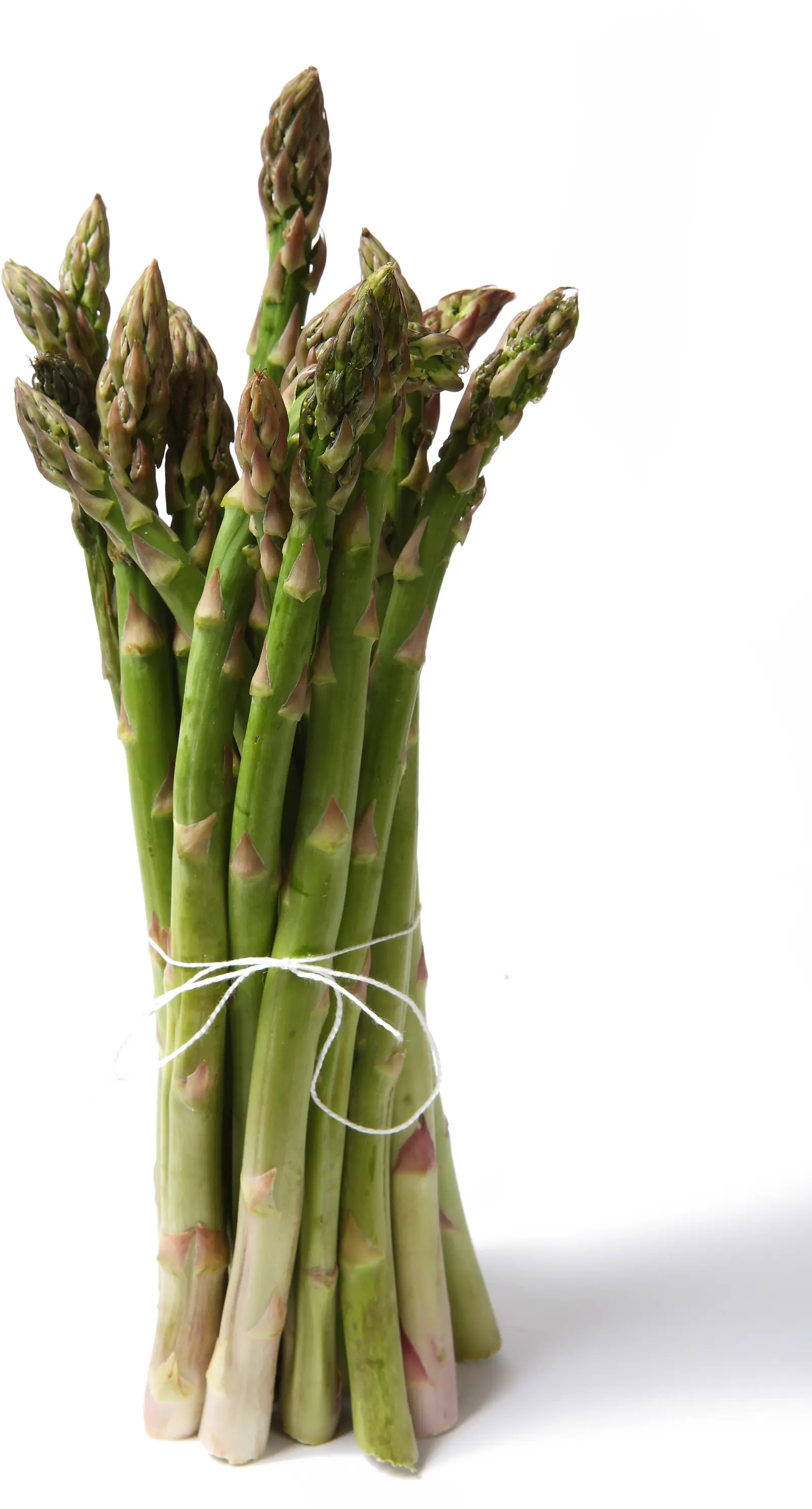 Asperge
