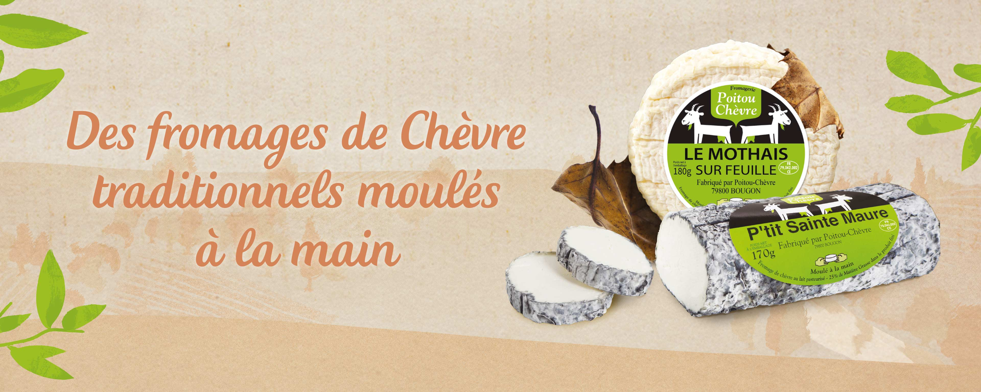 POITOU CHÈVRE