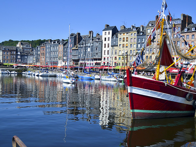 Nos trouvailles sur le marché de Honfleur