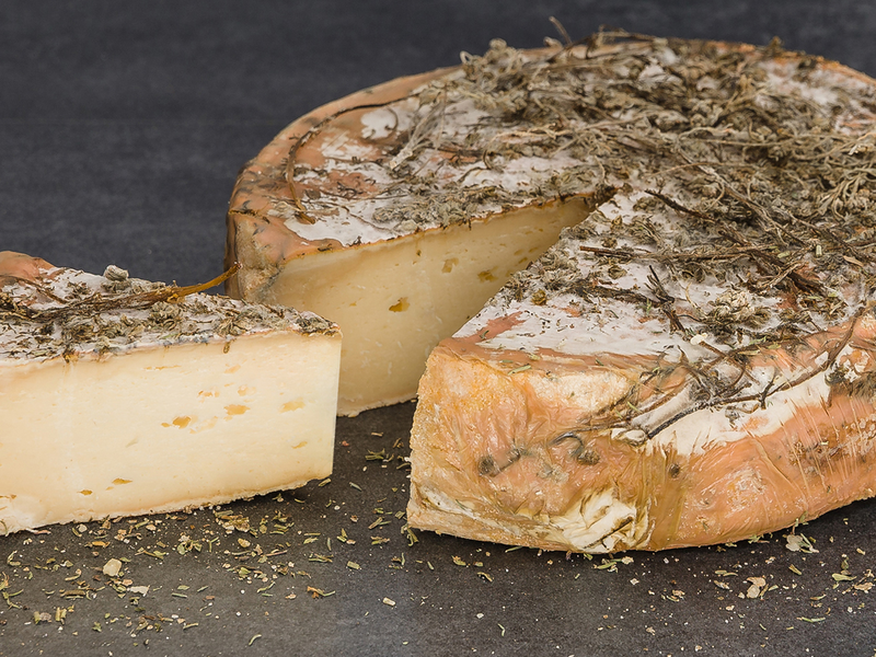 Tomme au génépi