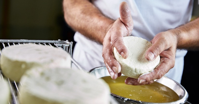 TH05_MUG_170725_Fromage-Epoisses_48_TH05
