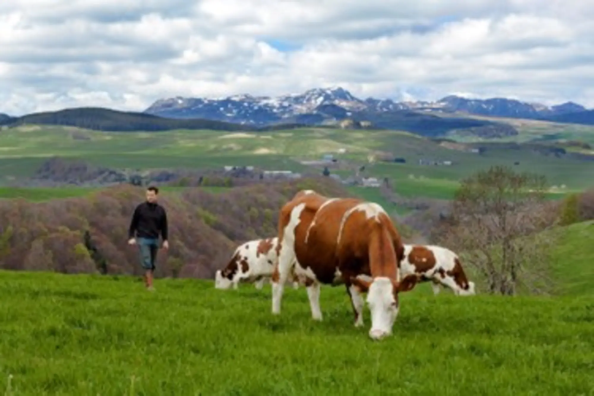 Image paysage RichesMonts