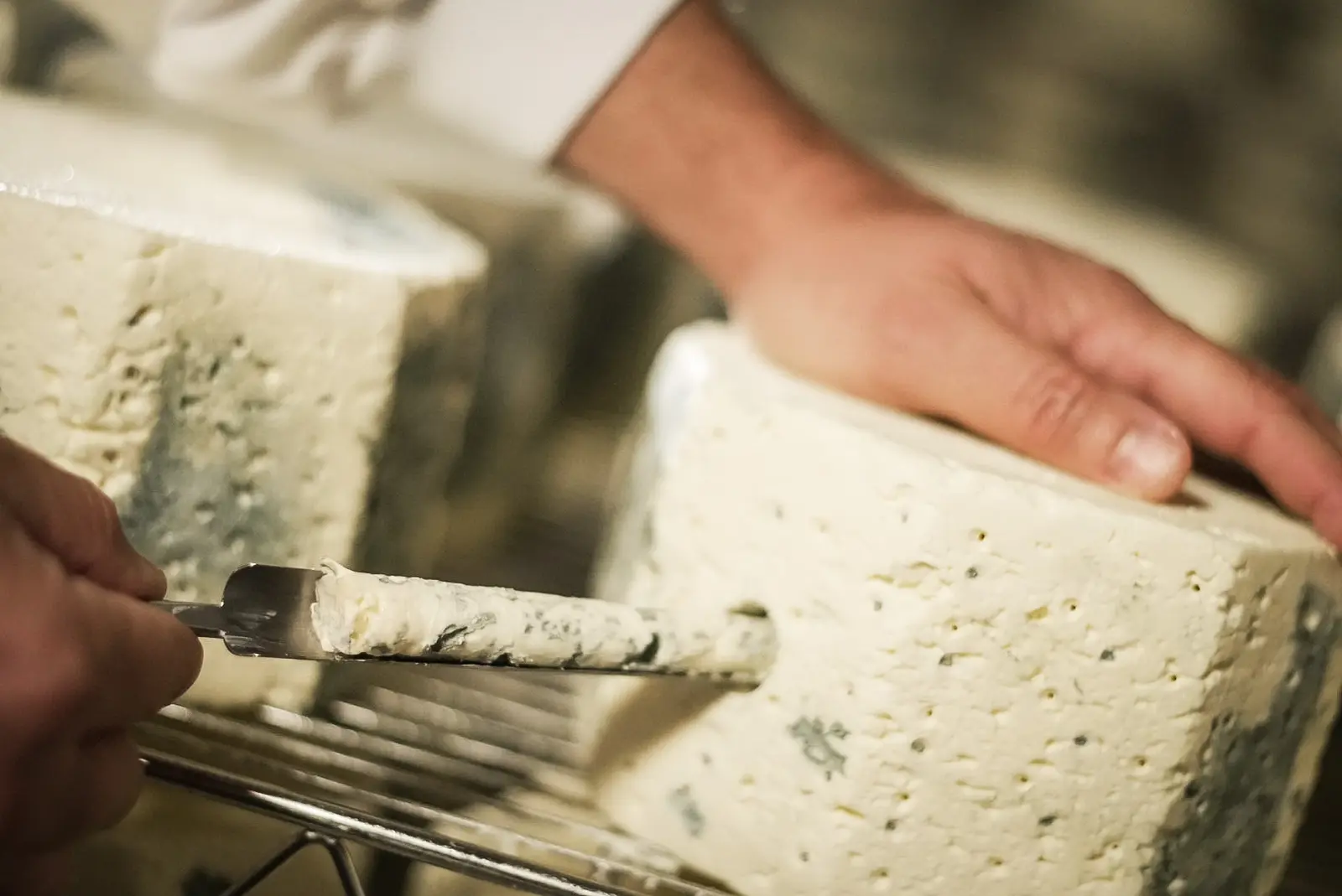 Affinage d'une meule de fromage persillée