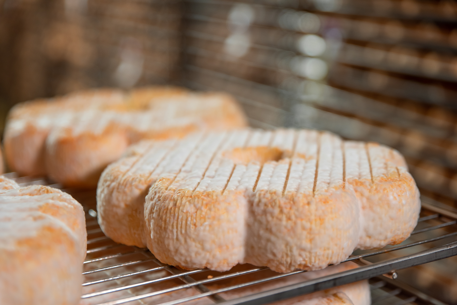 Maître Fromager hâloir Saint Albray LQ