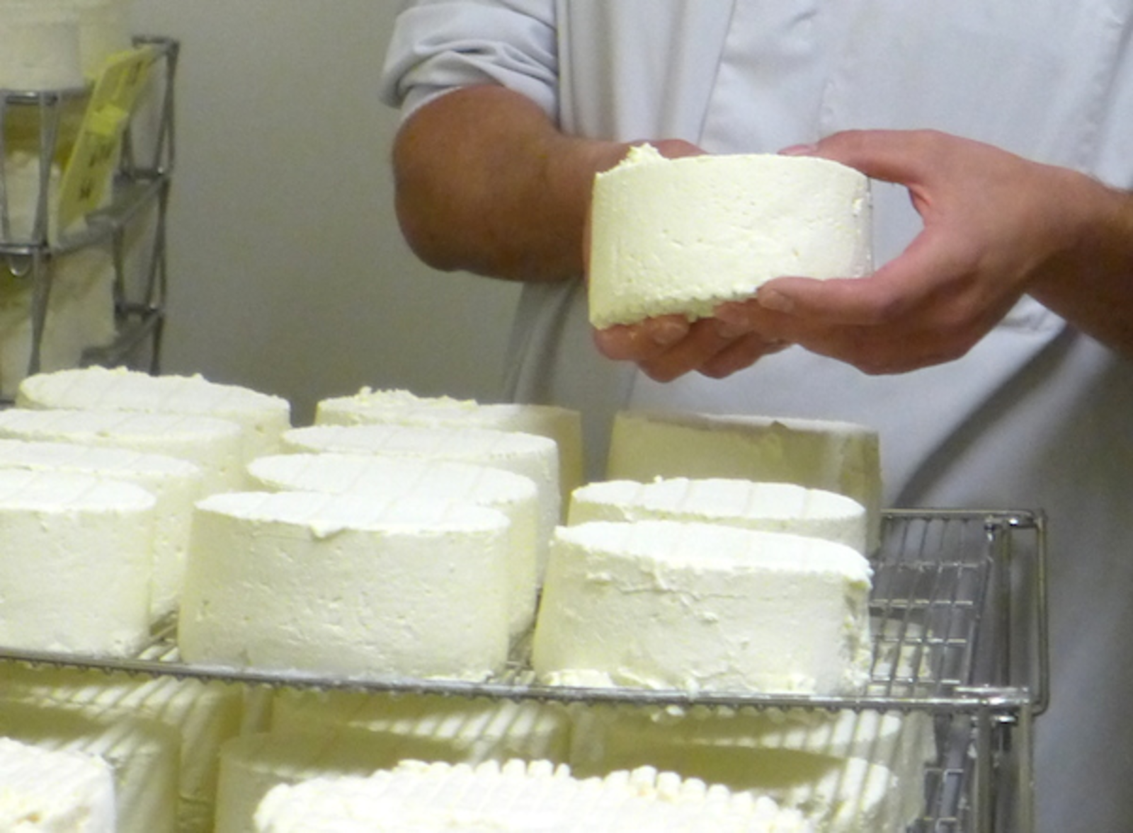TH01_59_brillat savarin_5