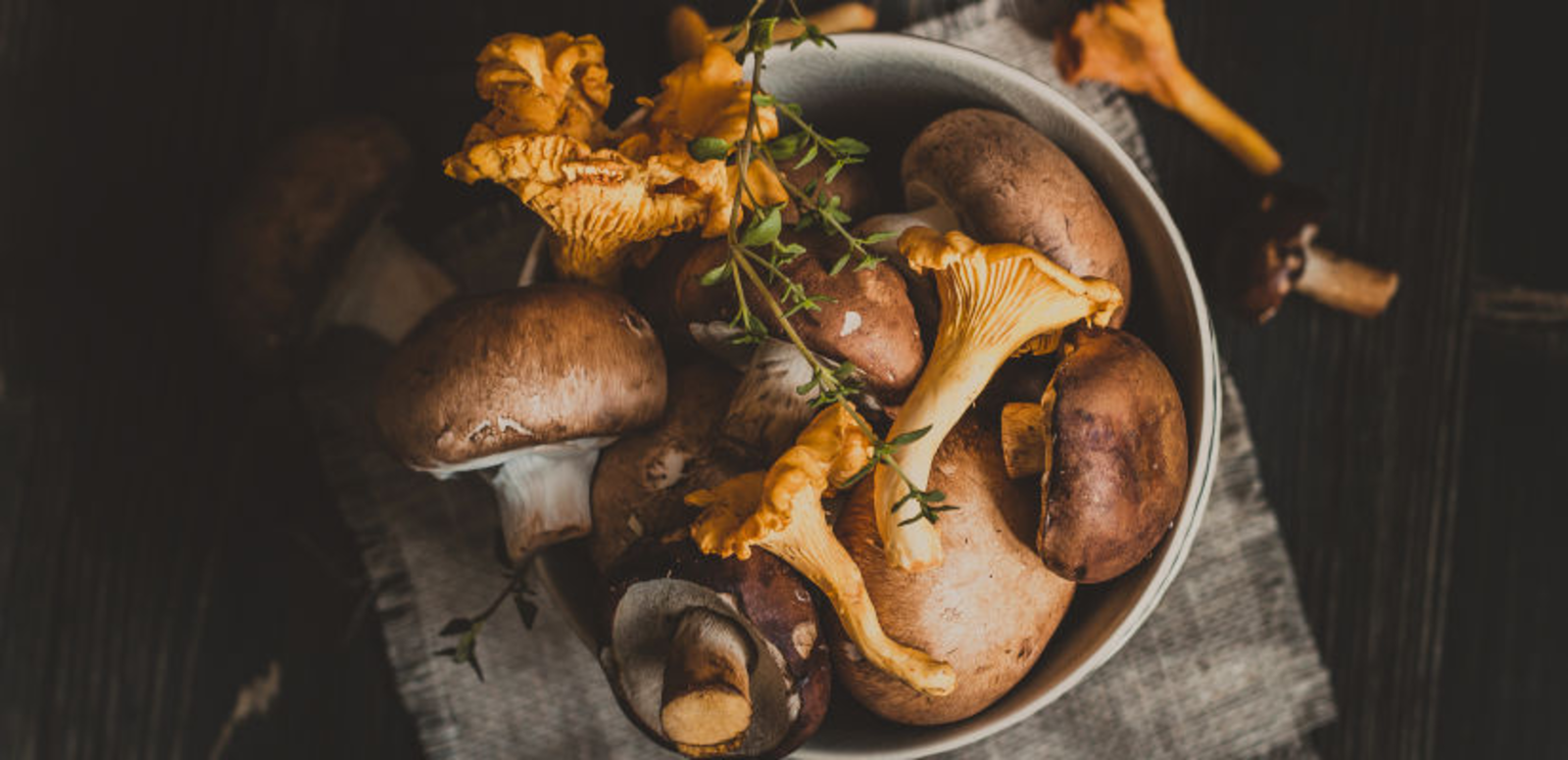 TH05_champignons-des-bois-planche-en-bois