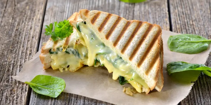 TH05_pressed-panini-with-spinach-picture-id825216692