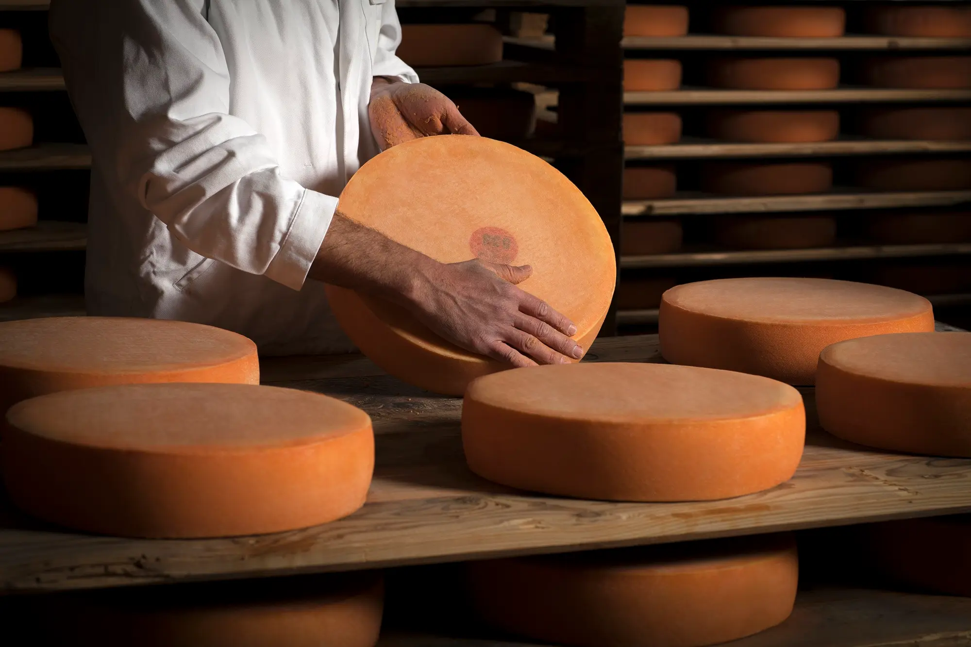 Meules & Fromager Saint-Trivier