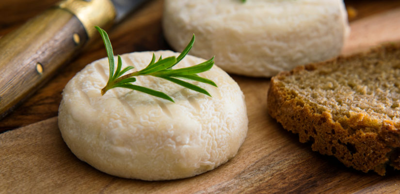 TH05_crottin-de-chevre