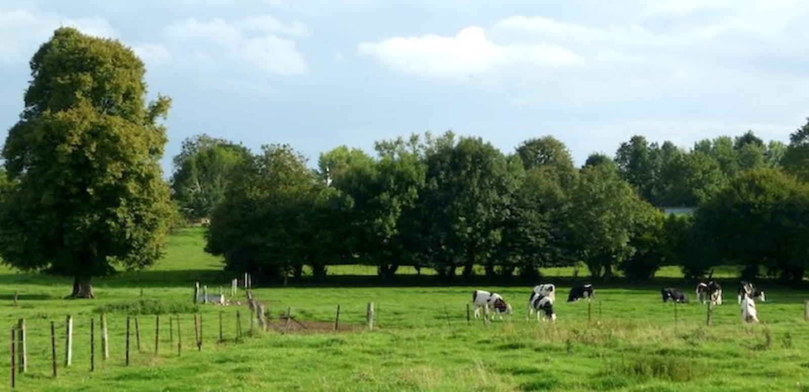 TH05_825x400 - prairie