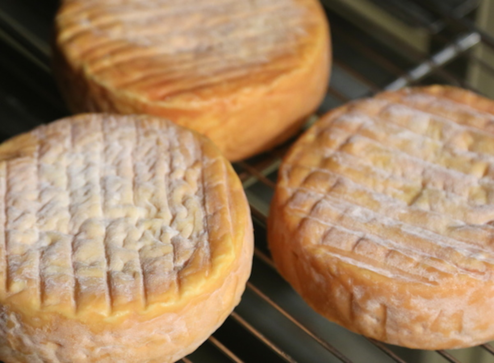 TH01_202_BERTHAUT EPOISSES_2