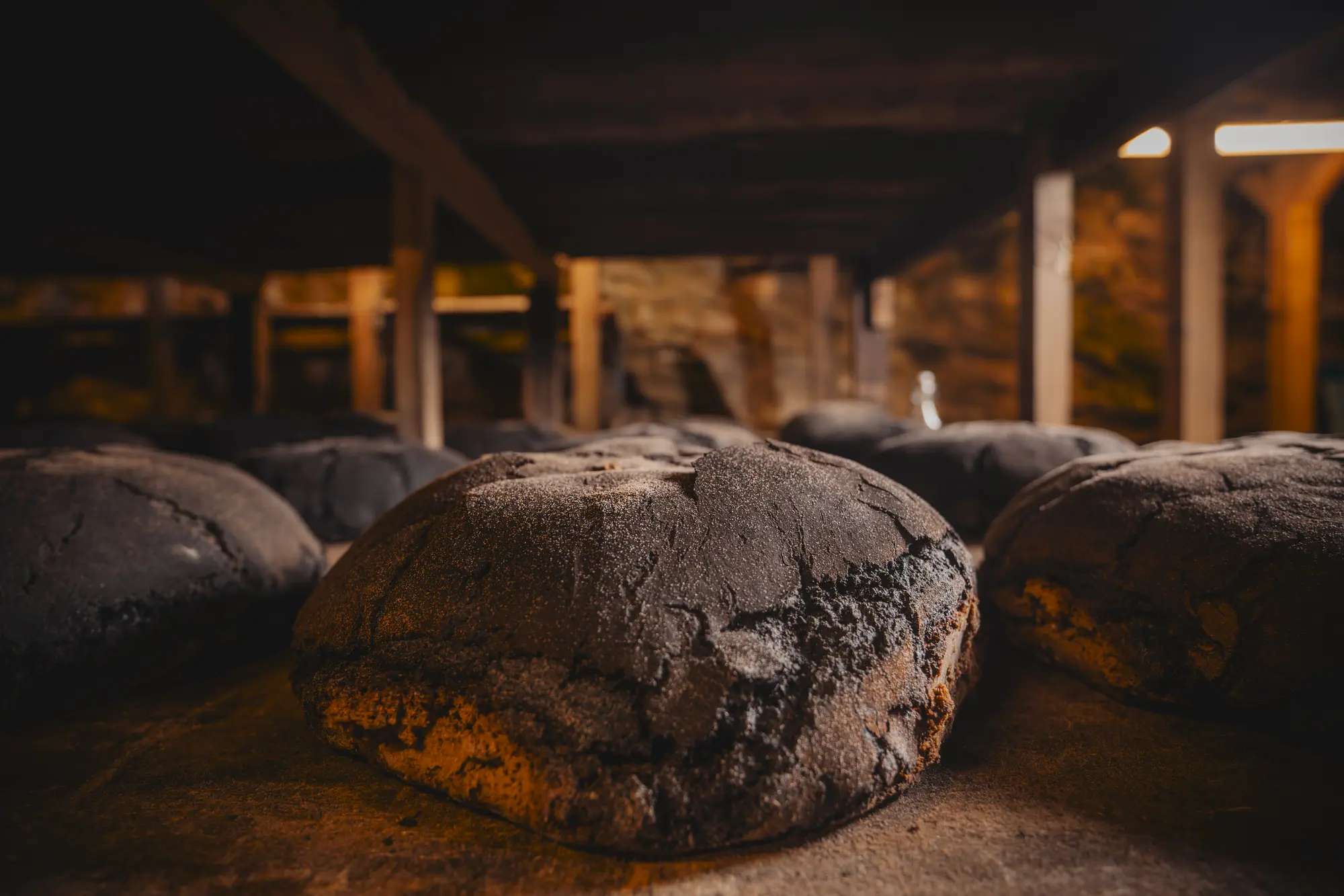 VISITE DES CAVES Roquefort Papillon - Miches de pain 2