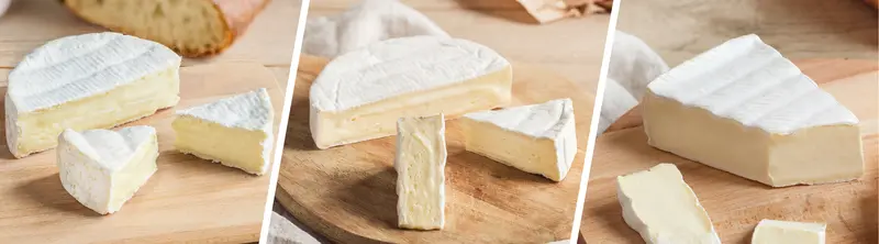 Camembert, Brie et Coulommiers… Quelles différences ?