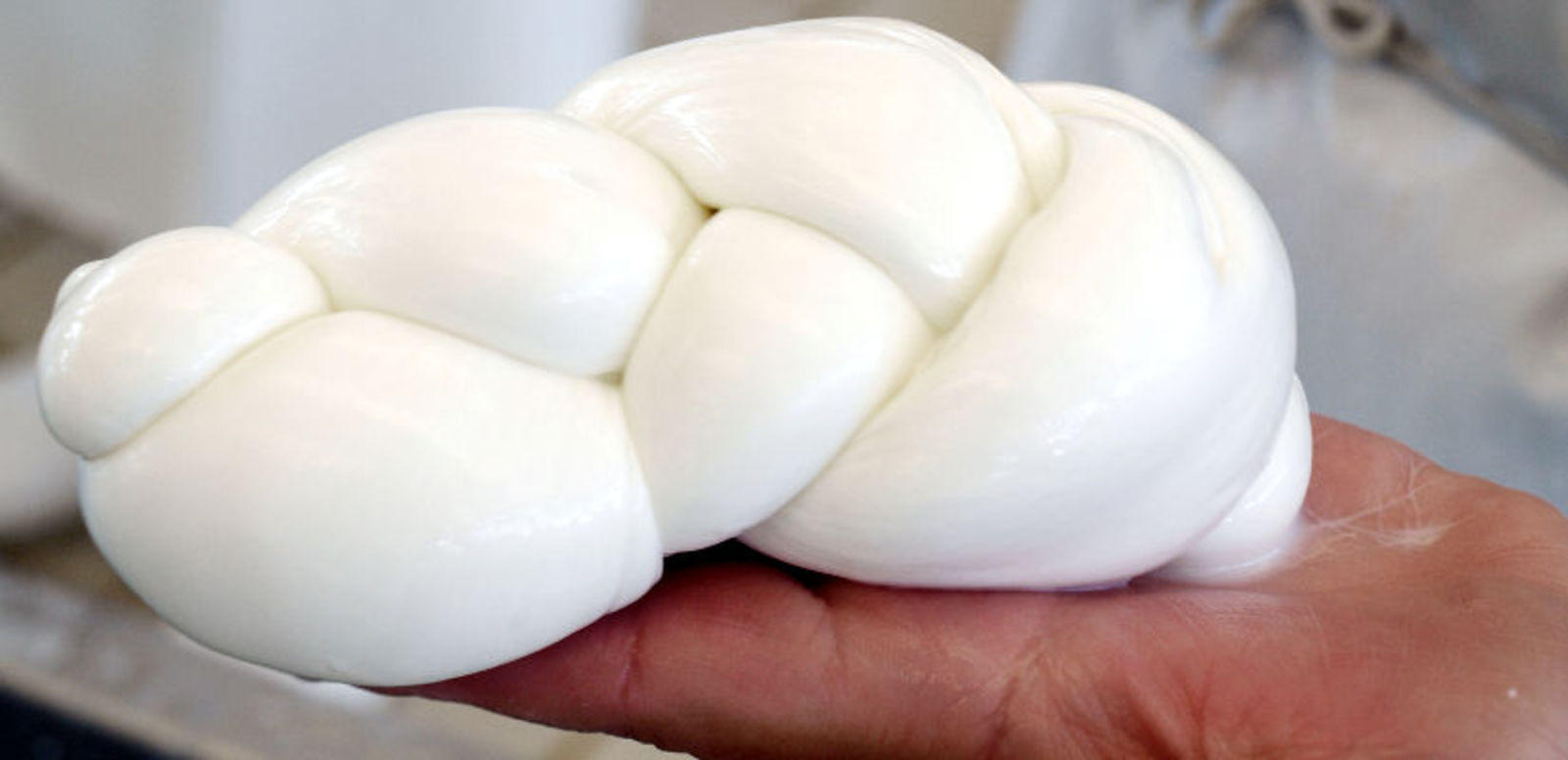 Tresse de Mozzarella