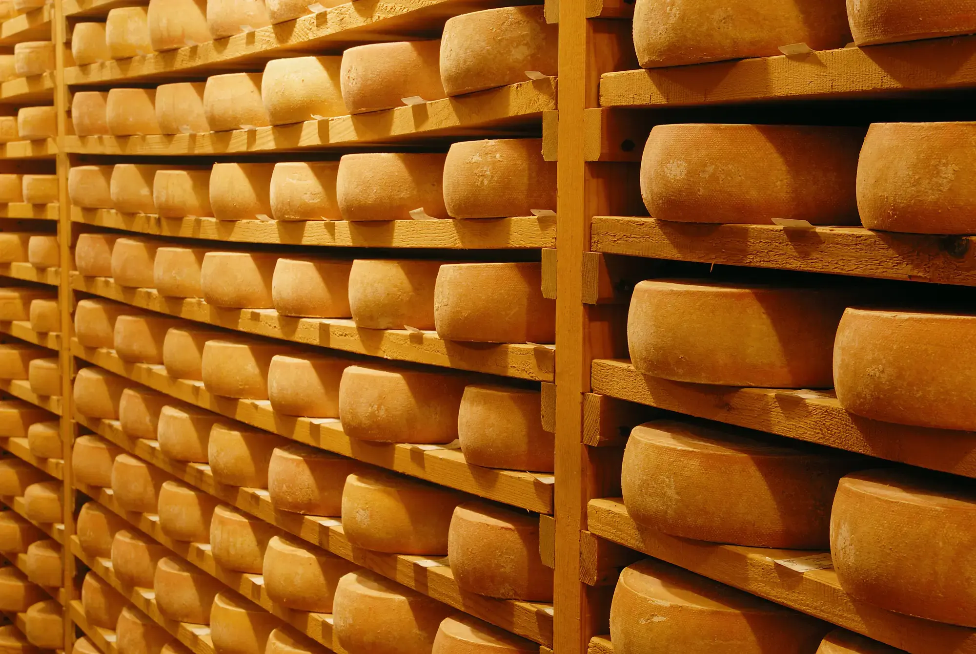 RichesMonts fête 50 ans de passion pour le fromage fondu