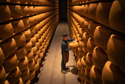 PARMIGIANO REGGIANO WHEEL INSPECTION ON SHELF WIDE SHOT 2