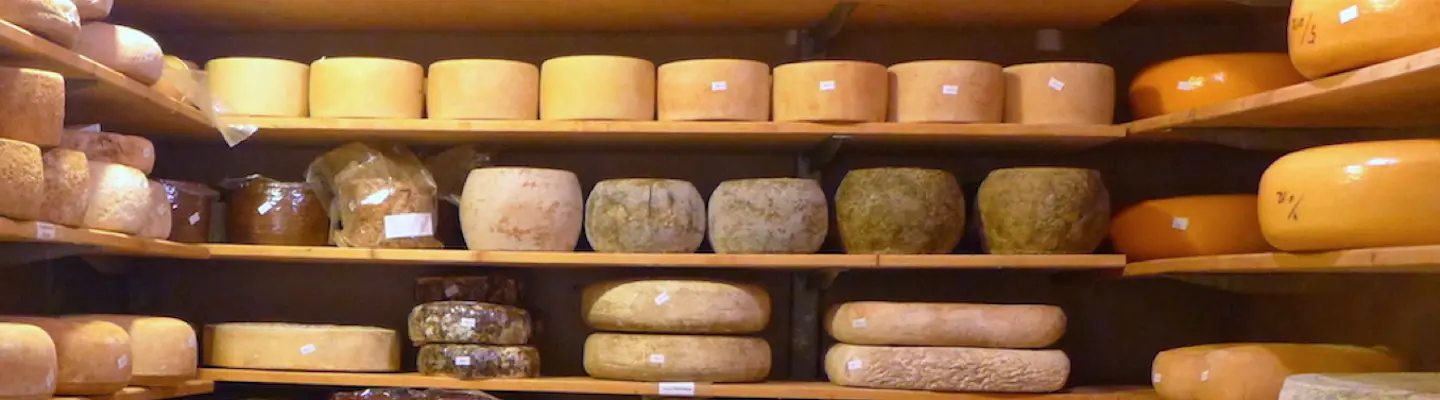 TOP 5 des fromages aux formes insolites