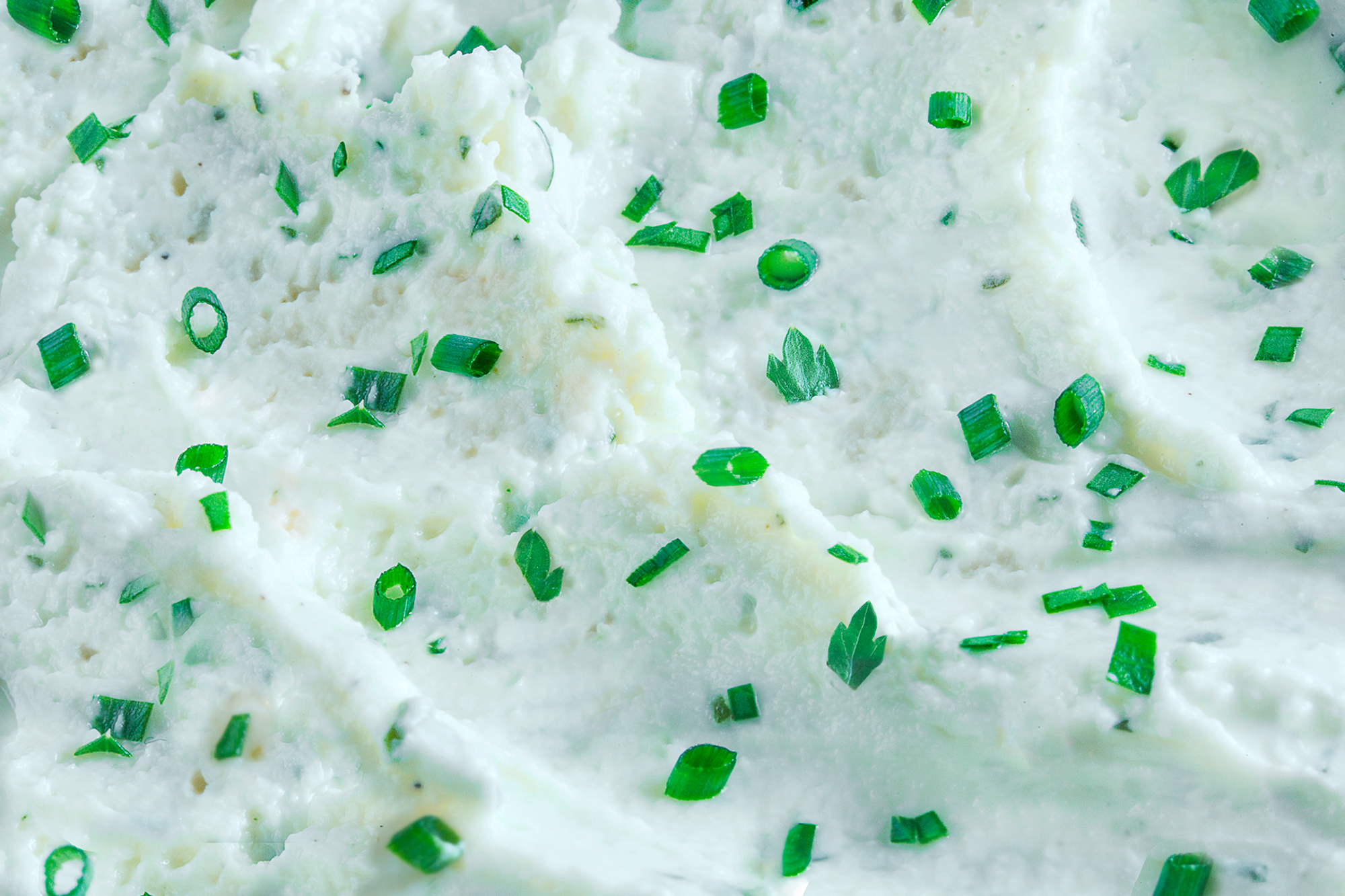 Herbes fraîches du fromage Tartare®