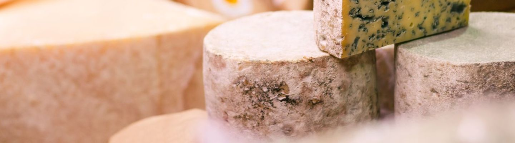 Le fromage au lait pasteurisé : un concentré de nutriments favorable à la grossesse