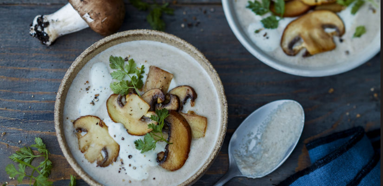 Velouté de champignons à la Crème de Saint Agur